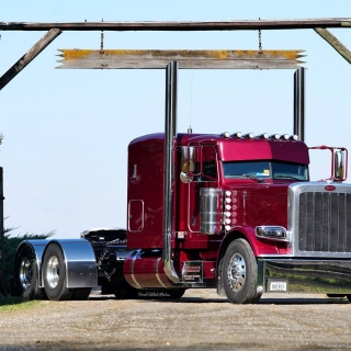 LogoLicious_20190302_210321