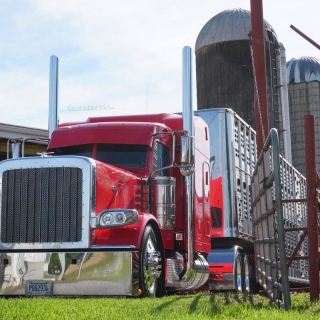 LogoLicious_20190304_085802