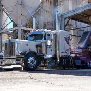 LogoLicious_20190304_085936