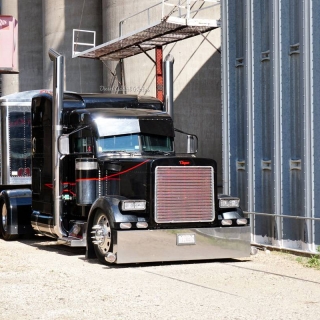 LogoLicious_20190304_090732