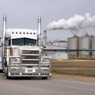 LogoLicious_20190304_090846