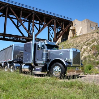 LogoLicious_20190304_090915