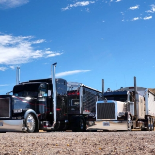 LogoLicious_20190304_091015